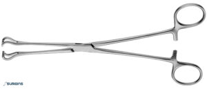 Babcock Grasping Forceps Tweezer/Clamp - SURGINS