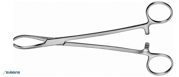 Littlewood Grasping Forceps Tweezer/Clamp - SURGINS