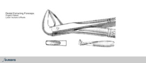 English Pattern Incisors & Roots Extracting Dental Forceps - SURGINS