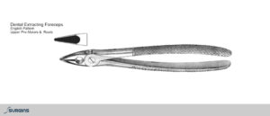 English Pattern Upper Pre-Molars & Roots Extracting Dental Forceps - SURGINS