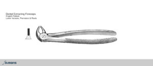 English Pattern Incisors, Premolar & Roots Extracting Dental Forceps - SURGINS