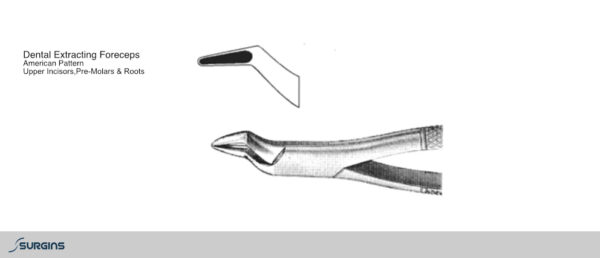 American Pattern Upper Incisors, Pre-Molars & Roots Extracting Dental Forceps - SURGINS