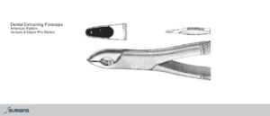 American Pattern Incisors & Upper Pre-Molars Extracting Dental Forceps - SURGINS