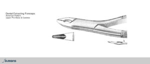 American Pattern Premolar & Canines Extracting Dental Forceps - SURGINS