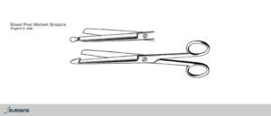 Bowel Post Mortem Scissors - SURGINS