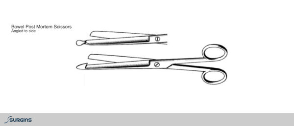 Bowel Post Mortem Scissors - SURGINS